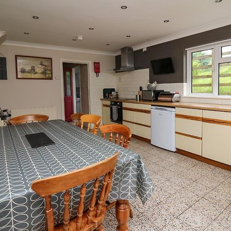 Aberdauddwr Villa Llanwnen Ngoại thất bức ảnh